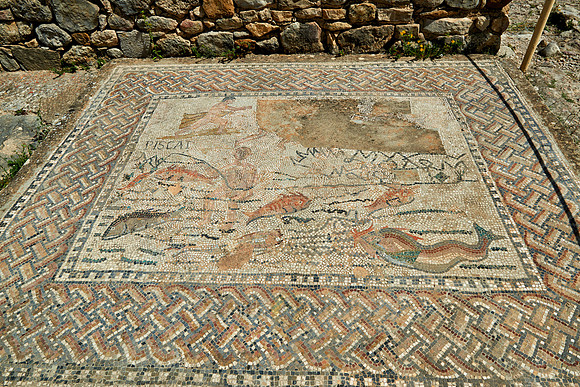 Mosaic inside house of the Ephebe in  Volubilis