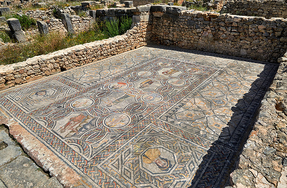 mosaic in Gordion palace in Volubilis