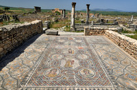 mosaic in Gordion palace in Volubilis
