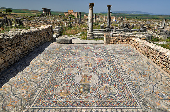 mosaic in Gordion palace in Volubilis