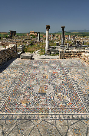 mosaic in Gordion palace in Volubilis