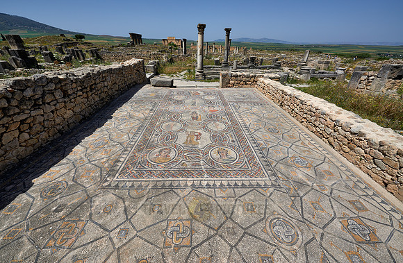 mosaic in Gordion palace in Volubilis