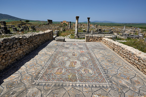mosaic in Gordion palace in Volubilis