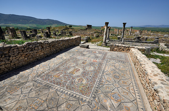 mosaic in Gordion palace in Volubilis