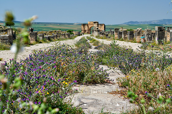 Decumanus Maximus in Volubilis