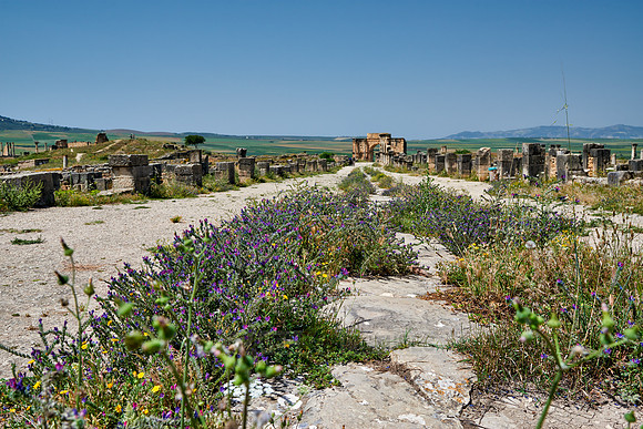 Decumanus Maximus in Volubilis