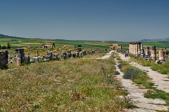 Decumanus Maximus in Volubilis