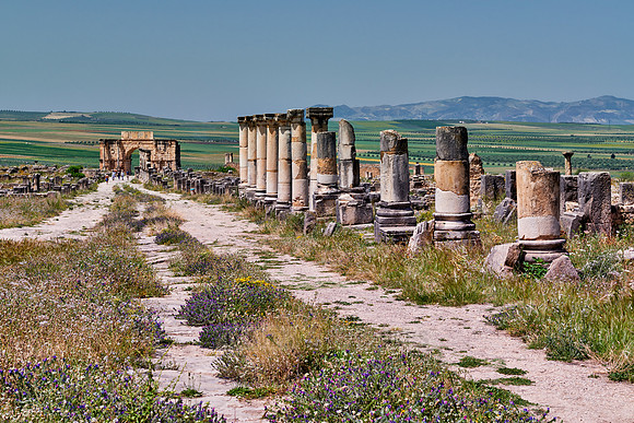 Decumanus Maximus in Volubilis
