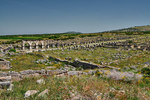 Decumanus Maximus in Volubilis