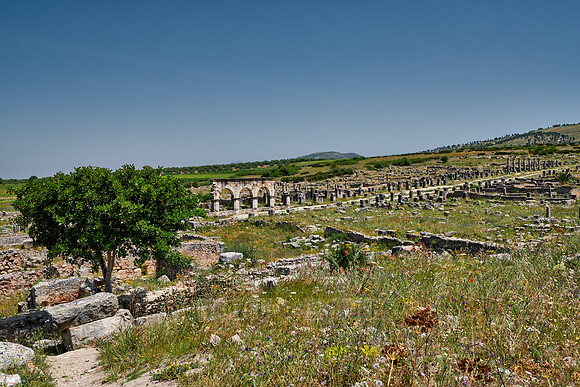 Decumanus Maximus in Volubilis