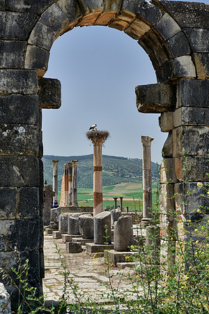 Basilica of Volubilis