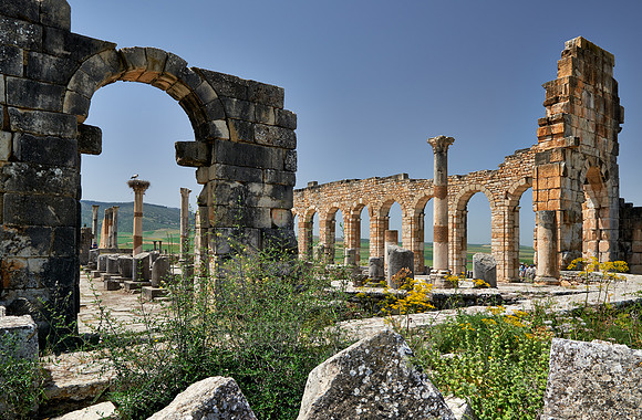 Basilica of Volubilis