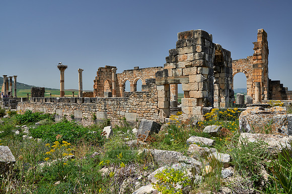 Basilica of Volubilis