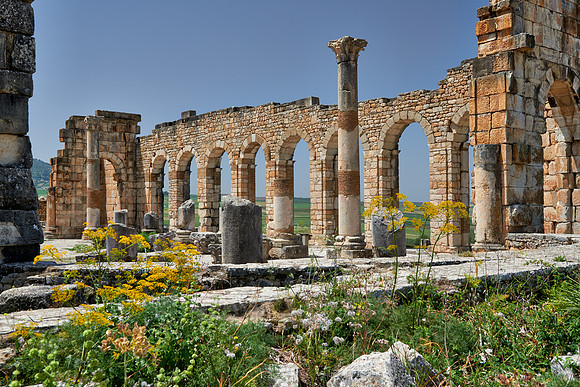 Basilica of Volubilis