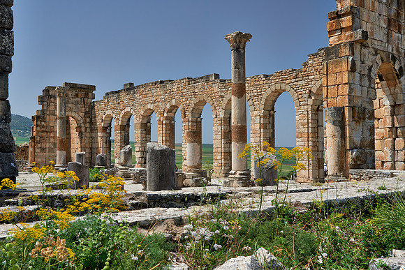 Basilica of Volubilis