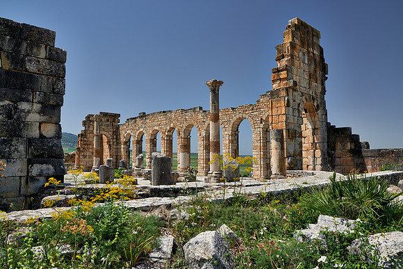 Basilica of Volubilis