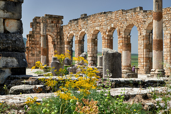 Basilica of Volubilis