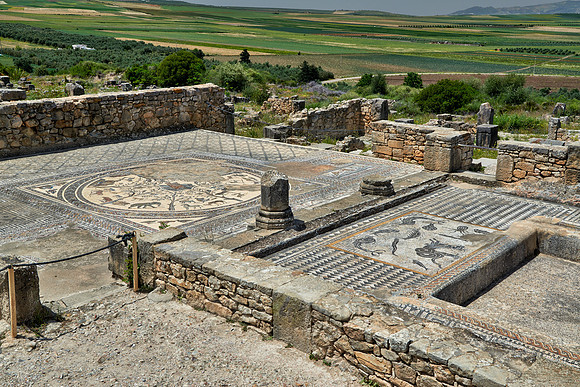 animal mosaic in  Volubilis