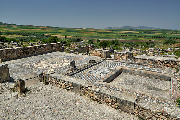 animal mosaic in  Volubilis