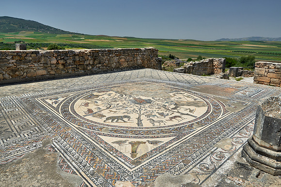 animal mosaic in  Volubilis