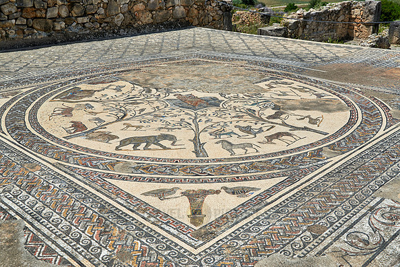 animal mosaic in  Volubilis