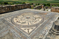 animal mosaic in  Volubilis