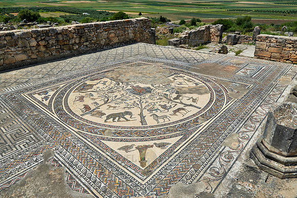 animal mosaic in  Volubilis