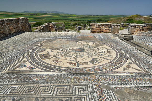 animal mosaic in  Volubilis
