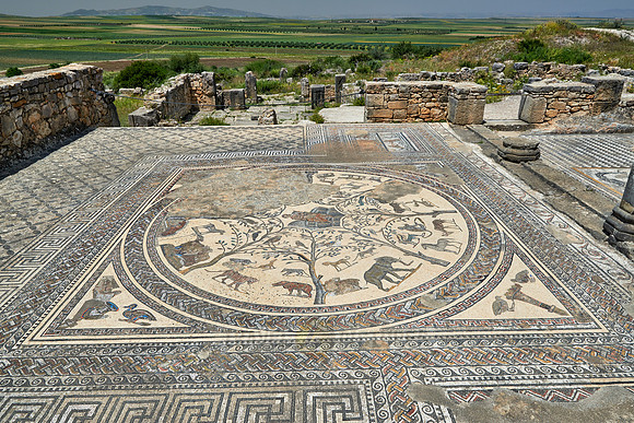 animal mosaic in  Volubilis