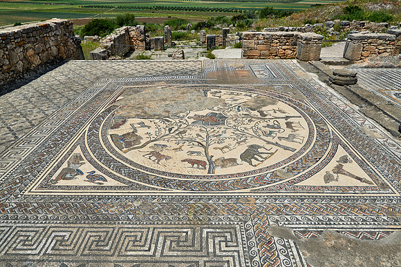 animal mosaic in  Volubilis
