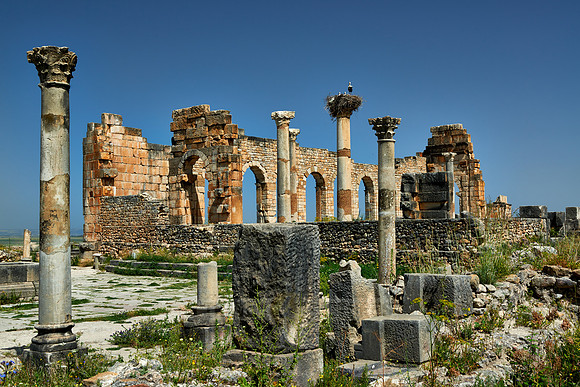 Basilica of Volubilis