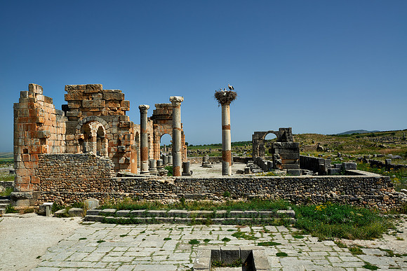 Basilica of Volubilis