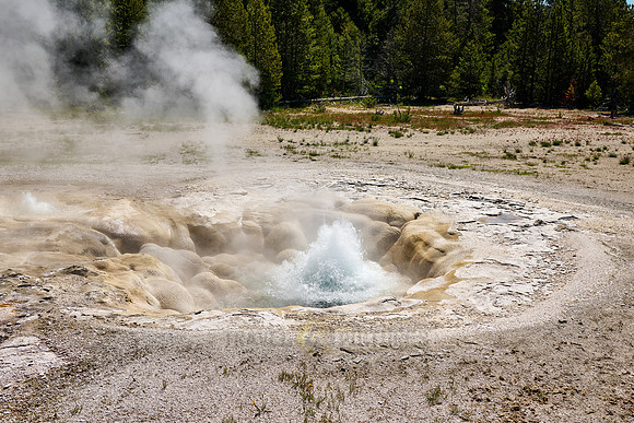 Spasmodic Geyser, Yellowstone National Park