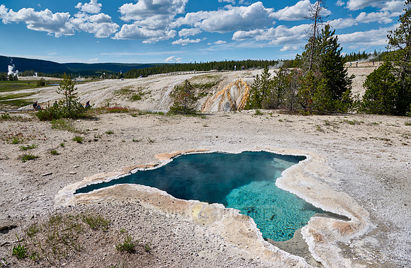 Blue Star Spring, Yellowstone National Park