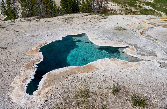 Blue Star Spring, Yellowstone National Park