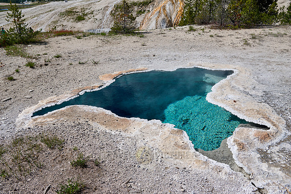 Blue Star Spring, Yellowstone National Park