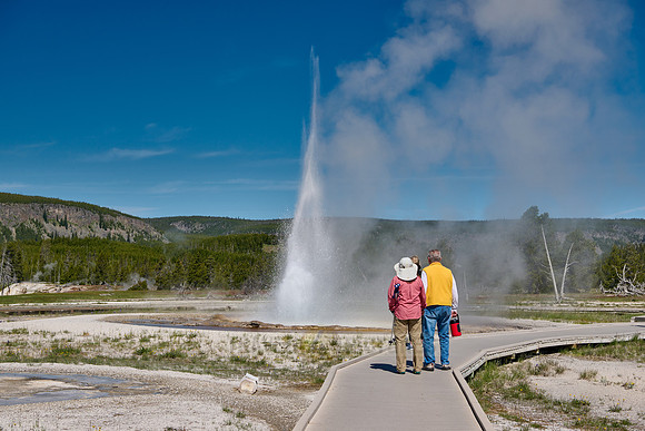 Tardy Geyser, Yellowstone National Park