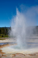 Tardy Geyser, Yellowstone National Park