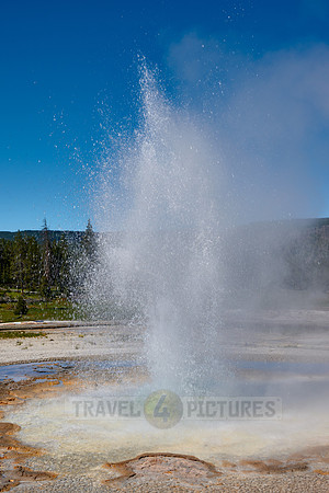 Tardy Geyser, Yellowstone National Park