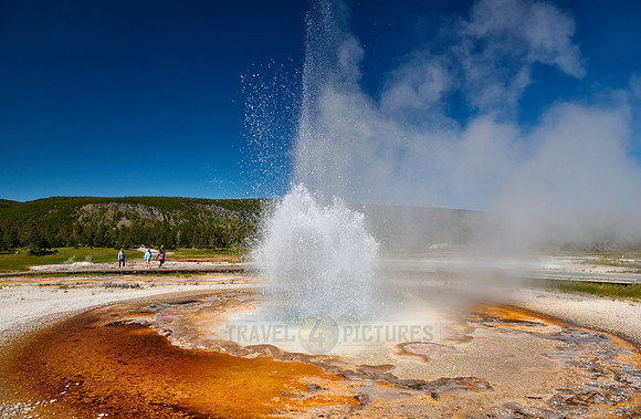 Tardy Geyser, Yellowstone National Park