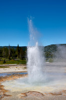Tardy Geyser, Yellowstone National Park