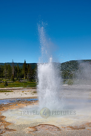 Tardy Geyser, Yellowstone National Park