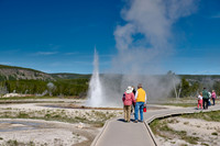 Tardy Geyser, Yellowstone National Park