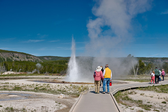 Tardy Geyser, Yellowstone National Park