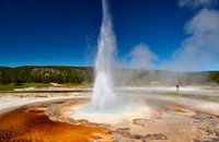 Tardy Geyser, Yellowstone National Park
