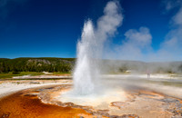 Tardy Geyser, Yellowstone National Park
