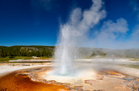 Tardy Geyser, Yellowstone National Park