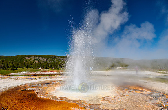 Tardy Geyser, Yellowstone National Park
