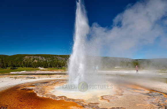 Tardy Geyser, Yellowstone National Park