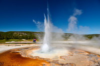 Tardy Geyser, Yellowstone National Park